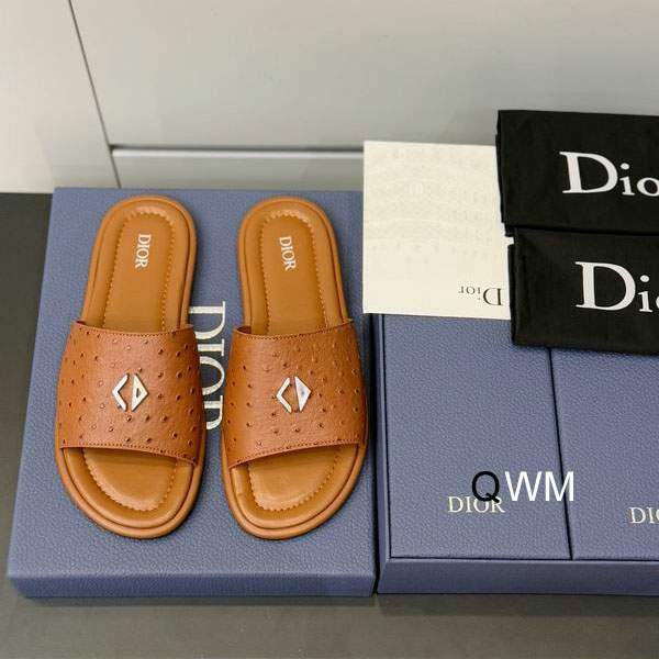 Picture of Dior Slippers _SKUDiorsz38-45WM03012838